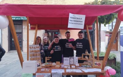 Festival srednjih škola u Sisku