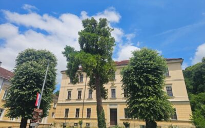 Šumarski tehničari obilježili Svjetski dan okoliša