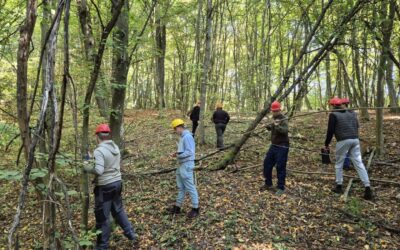 Terenska nastava učenika 4. e razreda iz Uređivanja šuma